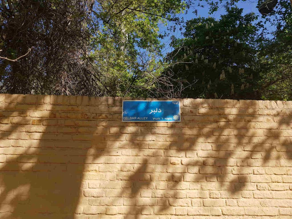 دیوار یک کوچه که برگ روی آن سایه انداخت- داستانک کوچه